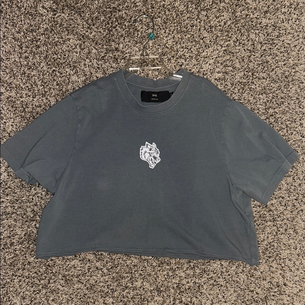 Blue/Gray Darc Sport Crop Top